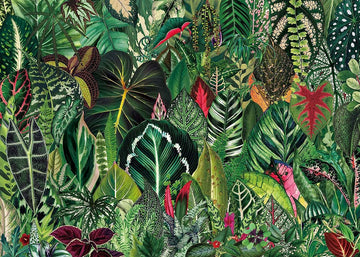 Bboldin® Houseplant Jungle Jigsaw Puzzle 1000 Pieces